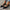 Damen Ballerinas mit elastischer Riemen WW