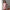 Damen sportliches Set mit Crop-Oberteil und Minirock WW