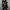 Damen Bequemer Strickpullover mit starigem Muster und lässigem Schnitt WW