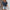 Damen Kurzarmbluse mit Spitzenbesatz und strukturiertem Design WW