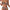 Damen Hochsitzt Bikini mit floralem Muster und leichtem Push-Up Effekt WW