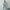 Damen Sportliches Sweatshirt- und Jogginghose-Set WW