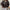 Damen Bikerjacke aus Kunstleder mit dekorativen Zippern WW