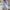 Damen Bluse mit Rüschendetails und Stehkragen WW
