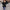 Damen eleganter Pullover mit V-Ausschnitt und schickem Details WW