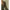 Damen Besticktes Chiffon Maxi Kleid WW