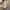 Damen Basic T-Shirt aus weicher Baumwolle mit Rundhalsausschnitt WW