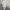 Damen Sportliches Freizeit-Set mit modischem Cropped Hoodie und weiter Hose WW