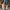 Damen bequeme Fleece-Hausschuhe mit warmem Innenfutter und rutschfester Sohle WW