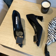 WW | Damen Schuhe für Geschäftsanlässe, spitze Absatzschuhe