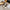 Damen elegante Slingback Mules mit spitzem Zehenbereich und dekorativem Ketten-Detail W&W