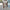Damen Sportliches Set mit kurvenbetonendem Crop-Top und enganliegenden Leggings WW