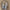 Damen Wickeljacke mit modernem V-Ausschnitt und eleganten Knopfdetails WW