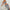 Damen Crop-Top und Maxi-Rock Set mit modischem Streifenmuster WW