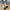 Damen Ballerina-Schuhe mit elegantem Schleifendetail und gepolstertem Fußbett WW