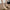 WW | Damen Sandalen aus Italien