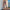 Damen weite Sommerhose mit buntem Blumenmuster und elastischem Bund WW