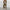 WW | Stilvoll und Bequem Blazer Set!