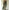Damen Besticktes Chiffon Maxi Kleid WW