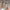 Damen Ballerinas mit flexiblem Obermaterial und rutschfester Sohle WW