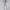 Damen Sportliches Set mit figurbetontem Top und Hochbund-Leggings WW