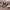 Damen Bequeme und stylische Warmfutter Slip-On Schuhe WW