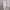 WW | Einfarbiges Weites Bein Zweiteiliges Set