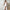 Damen Abendkleid mit tiefem V-Ausschnitt und seitlichem Schlitz WW