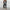 WW | Elegantes Fashion Satz