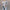 Damen Strickjacke mit offenem Schnitt und seitlichen Taschen WW