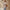 Damen Eleganter Poncho mit floralem Stickmuster und fransigen Kanten WW