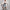 Damen Strickjacke mit geometrischem Muster WW