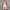 WW | Bustier Floral Entworfen Kurzer Rock