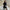 Damen Strickkleid mit eleganter Knopfleiste und V-Ausschnitt WW