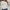 Damen Strickpullover mit V-Ausschnitt und eleganter Rippstruktur WW