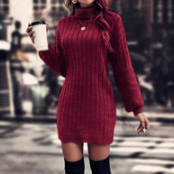 Damen Strickkleid mit hohem Kragen und feinem Rippenmuster WW