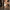 Damen Bequeme Wildleder Ballerinas mit Schleifendetail WW