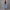 Damen weite High-Waist Jeans mit Destroyed-Details WW