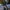 Damen elegantes Abendkleid mit asymmetrischem Ausschnitt und glitzernden Details WW