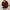 Damen Strickjacke mit V-Ausschnitt und trendy Zopfmuster WW