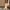 Damen Slingback-Pumps mit komfortablem Blockabsatz und feinem Lederdesign W&W