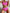 Damen Sportliches Bikini-Set mit Hochbund und Kontrastdetails WW