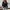 Damen Bluse im Body-Stil mit elegantem Wickeldesign WW