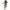 Damen Bequemes Off-Shoulder Jumpsuit mit modischem Print und elastischem Bund WW