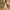 WW | Elegante Frauen Hochzeit Off-neck Kleid