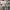 Damen gestreiftes T-Shirt mit modischen Knopfdetails und Rundhalsausschnitt WW