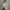 WW | Trenchcoat Mit Reißverschluss Für Frauen