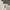 Damen Modische Mules mit elegantem V-Ausschnitt W&W