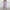 WW | Elegantes Fashion Satz