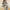Damen Jumpsuit mit floralen Mustern und eleganter Passform WW